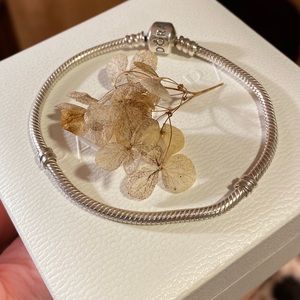 Pandora bracelet